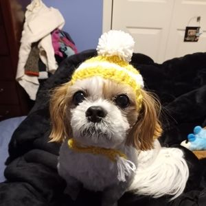 Meet your Posher, Carol